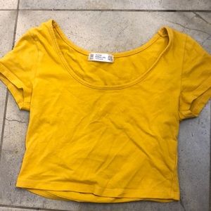 crop top